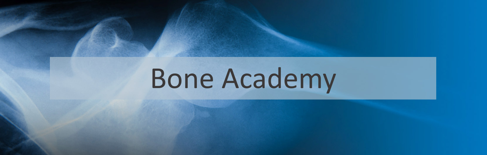 BoneAcademy